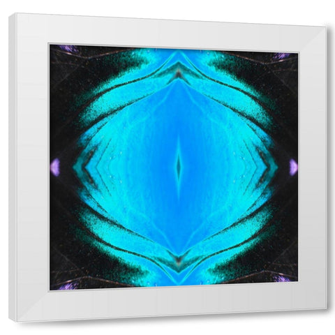 Butterfly Eye II White Modern Wood Framed Art Print by Grayscale
