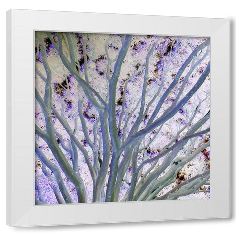 Space Canopy II White Modern Wood Framed Art Print by Grayscale