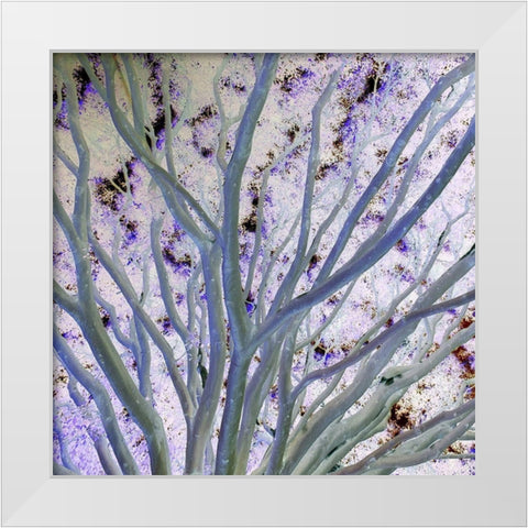 Space Canopy II White Modern Wood Framed Art Print by Grayscale