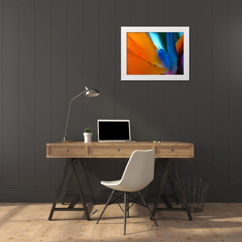 Bird Of Paradise I White Modern Wood Framed Art Print by Grayscale