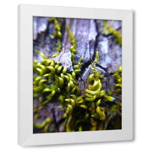 Bark Hair I White Modern Wood Framed Art Print by Grayscale