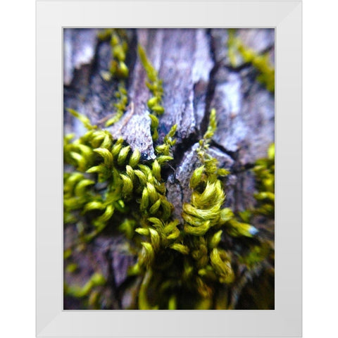 Bark Hair I White Modern Wood Framed Art Print by Grayscale