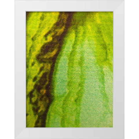 Canvas Closeup V White Modern Wood Framed Art Print by Grayscale
