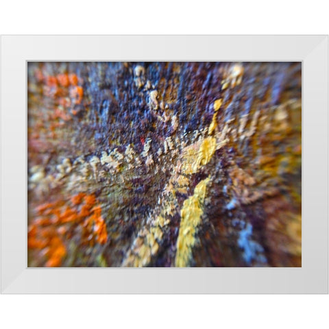 Paint Closeup IX White Modern Wood Framed Art Print by Grayscale