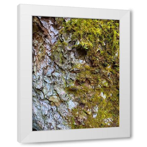 Bark and Moss I White Modern Wood Framed Art Print by Grayscale