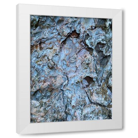 Bark Scales III White Modern Wood Framed Art Print by Grayscale