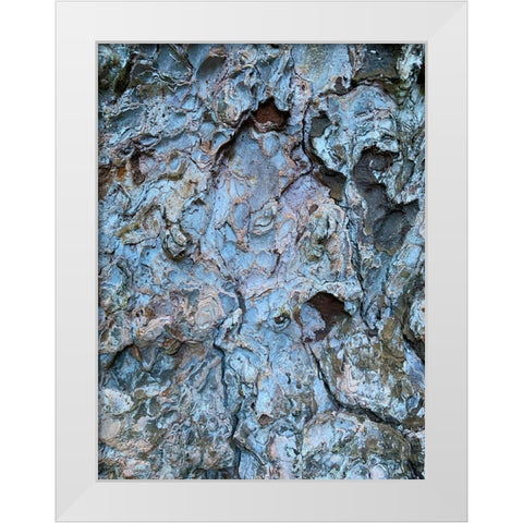 Bark Scales III White Modern Wood Framed Art Print by Grayscale