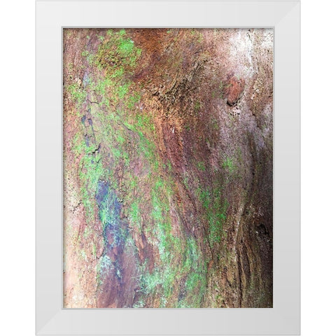 Bark and Moss III White Modern Wood Framed Art Print by Grayscale
