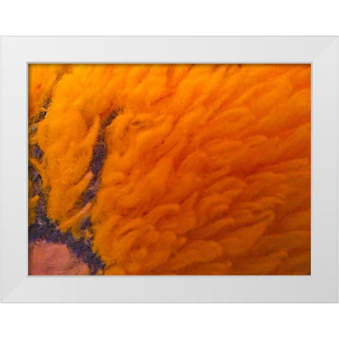 Orange Furry I White Modern Wood Framed Art Print by Grayscale