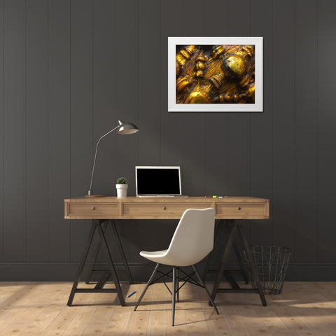 Frame Pic III White Modern Wood Framed Art Print by Grayscale