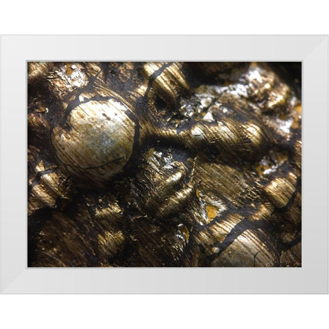 Frame Pic IV White Modern Wood Framed Art Print by Grayscale