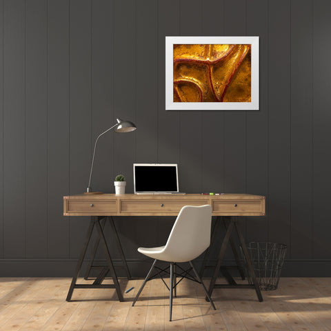 Frame Pic X White Modern Wood Framed Art Print by Grayscale