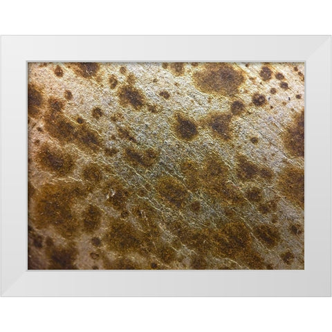 Silver Texture I White Modern Wood Framed Art Print by Grayscale