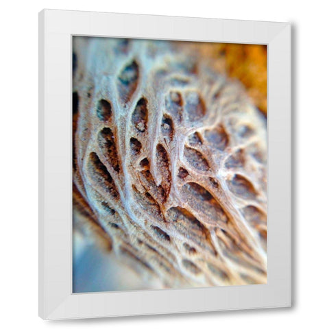 Fibers I White Modern Wood Framed Art Print by Grayscale