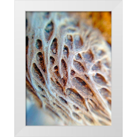 Fibers I White Modern Wood Framed Art Print by Grayscale
