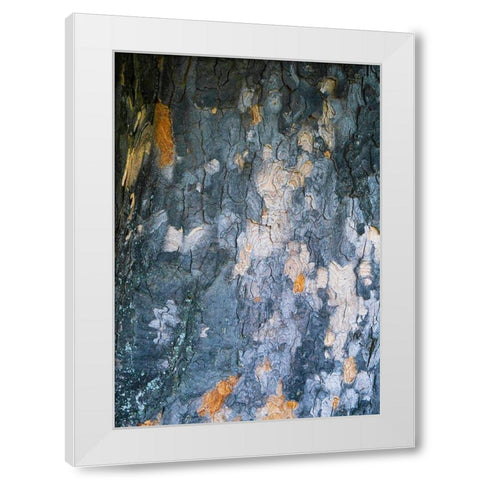 Bark Scales IV White Modern Wood Framed Art Print by Grayscale