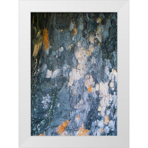Bark Scales IV White Modern Wood Framed Art Print by Grayscale