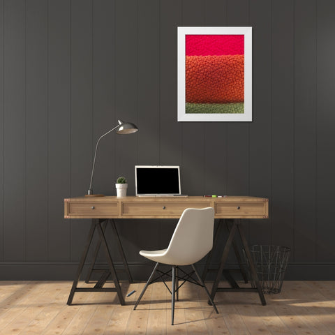Fabric XIV White Modern Wood Framed Art Print by Grayscale