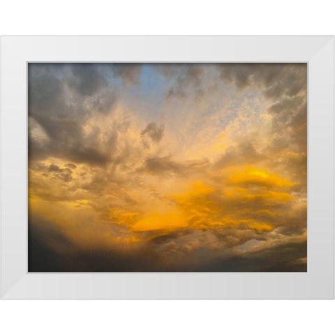 Arizona Sunset II White Modern Wood Framed Art Print by Grayscale
