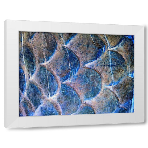 Wooden Scales II White Modern Wood Framed Art Print by Grayscale