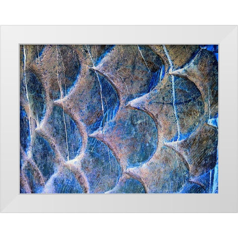 Wooden Scales II White Modern Wood Framed Art Print by Grayscale