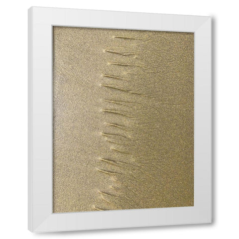 Sand Stripe III White Modern Wood Framed Art Print by Grayscale