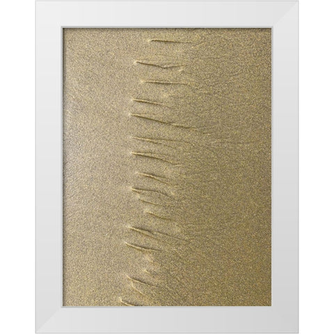 Sand Stripe III White Modern Wood Framed Art Print by Grayscale