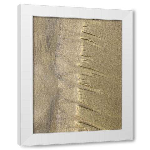 Sand Stripe IV White Modern Wood Framed Art Print by Grayscale