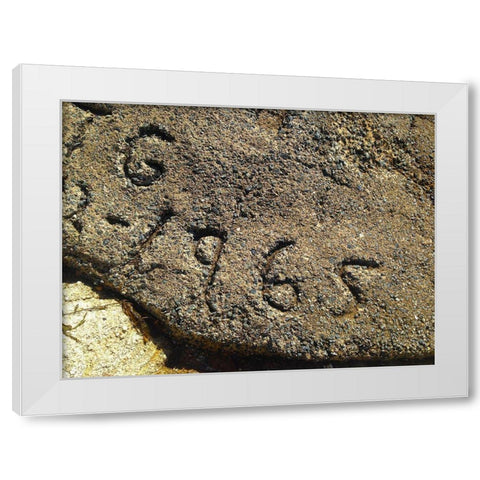 1965 White Modern Wood Framed Art Print by Grayscale