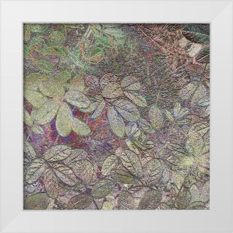 Flora Square 1a White Modern Wood Framed Art Print by Tenoever, William