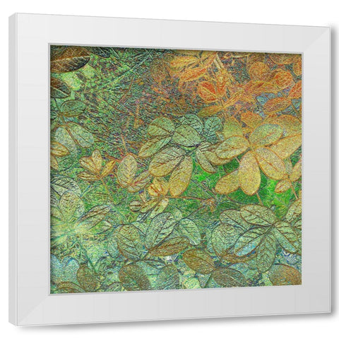Flora Square 1b White Modern Wood Framed Art Print by Tenoever, William