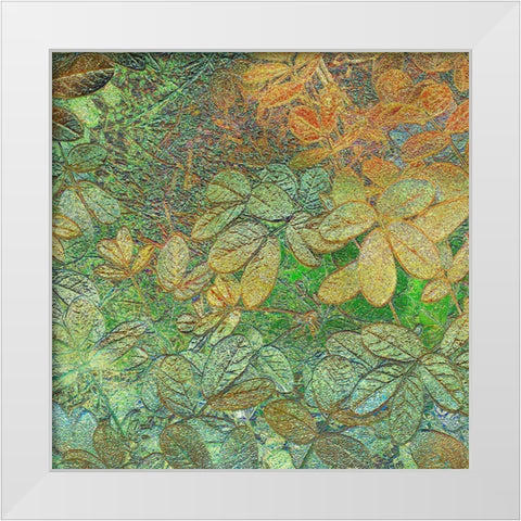 Flora Square 1b White Modern Wood Framed Art Print by Tenoever, William