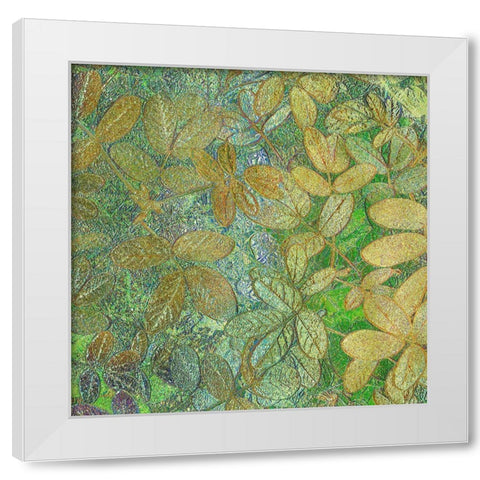 Flora Square 1e White Modern Wood Framed Art Print by Tenoever, William