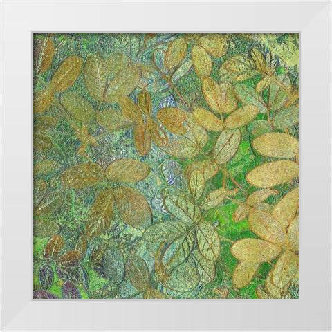 Flora Square 1e White Modern Wood Framed Art Print by Tenoever, William
