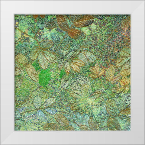 Flora Square 1h White Modern Wood Framed Art Print by Tenoever, William