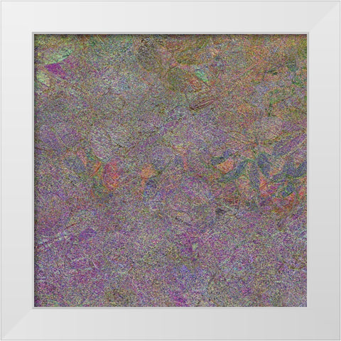 Flora Square 1I White Modern Wood Framed Art Print by Tenoever, William