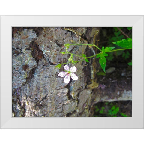 Purple Flower White Modern Wood Framed Art Print by Popcorn