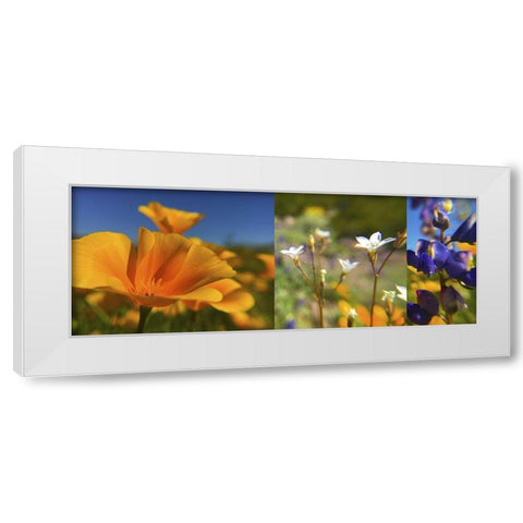 Wildflower Collage White Modern Wood Framed Art Print by Popcorn