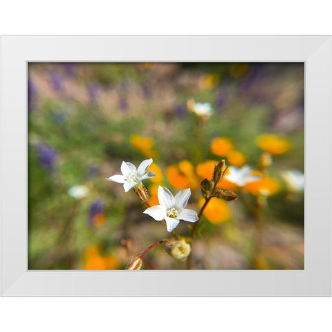 Wildflower VI White Modern Wood Framed Art Print by Popcorn