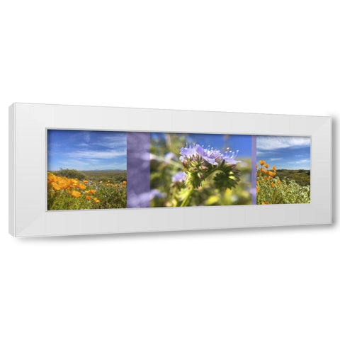 Wildflowers Collage IV White Modern Wood Framed Art Print by Popcorn