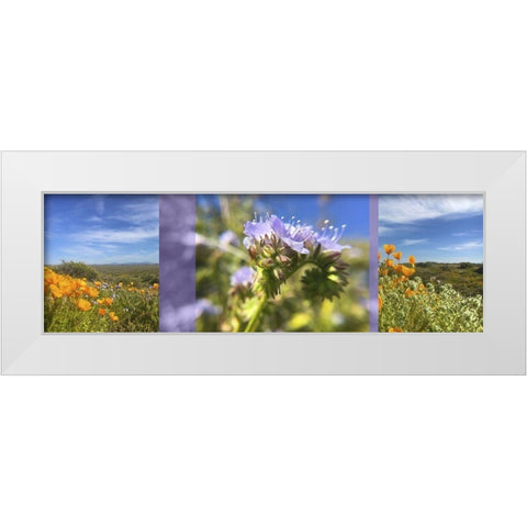 Wildflowers Collage IV White Modern Wood Framed Art Print by Popcorn
