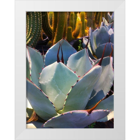 Mescal Agave C White Modern Wood Framed Art Print by Tenoever, William