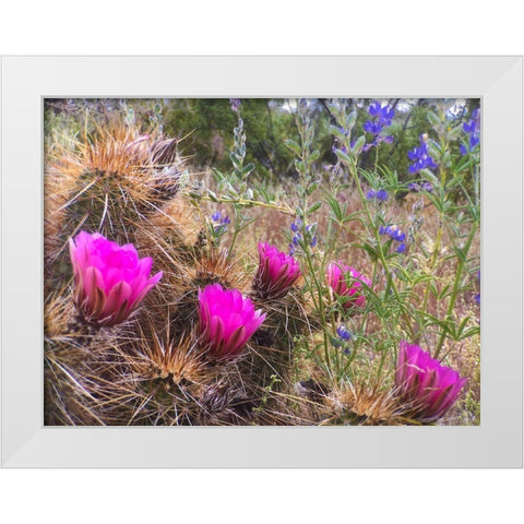 Hedgehog and Lupine White Modern Wood Framed Art Print by Tenoever, William