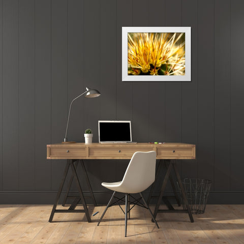 HedgehogCactus White Modern Wood Framed Art Print by Tenoever, William