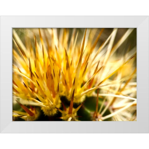 HedgehogCactus White Modern Wood Framed Art Print by Tenoever, William