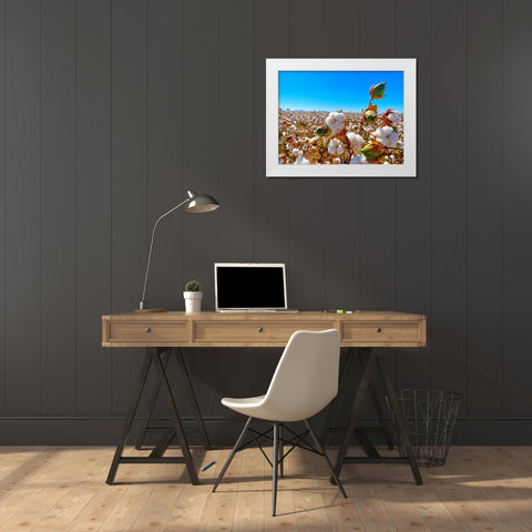 CottonFields1 White Modern Wood Framed Art Print by Tenoever, William