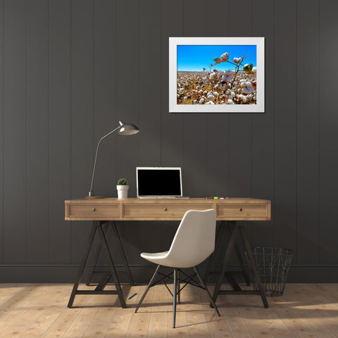 CottonFields2 White Modern Wood Framed Art Print by Tenoever, William