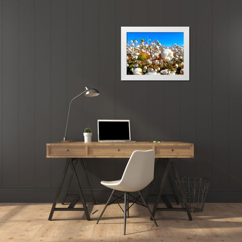 CottonFields3 White Modern Wood Framed Art Print by Tenoever, William