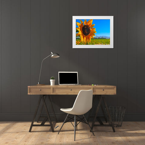 Sunflower3 White Modern Wood Framed Art Print by Tenoever, William