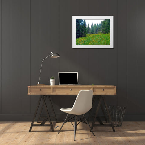 Wildflower IX White Modern Wood Framed Art Print by Popcorn